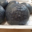 찐빵의정석