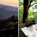 텃골가든식당 이미지