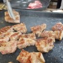 기수백서