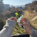 도예촌막국수 | 경기도 가을 데이트 코스 이천 도자예술마을(너븐재, 남양도예 물레체험, 도예촌막국수)