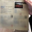 타이어프로밀양가곡점 | [블챌]11월 귀여움이 승리한다