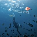 마이바당 이미지