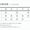 루시디안 이미지
