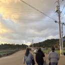 남원읍-66 | 제주 2025