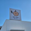 배배농장 | 양양 디저트카페 필수코스 배배젤라또