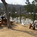 낙성대 공원 이미지