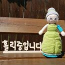 들국화의아름다운집