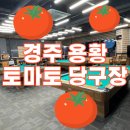 토마토당구장 이미지