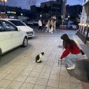 프랑스에다녀온붕어빵공주대점