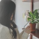 노이디자인 이미지