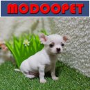 모두와샵 이미지