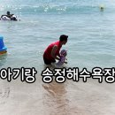 캐칭덕부산송정비치점 | 부산 아기랑 물놀이 하기 좋은 송정해수욕장 : 평상 자리 잡은 후기