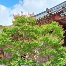 도담셀프주유소 이미지