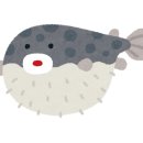 황제복어 이미지