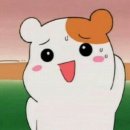 송파 보건지소 | 예약 전쟁 (인생은 모다? 타이밍이다)