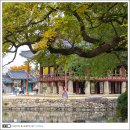 남원문화예술지원센터 | 전북 가볼만한곳 광한루원 피오리움 서도역 남원예촌 등 남원 여행 누리시민증 혜택 코스 추천