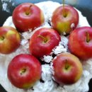 정선초등학교 이미지