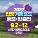 입장거봉포도(서울) 이미지