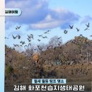 김해한림박물관 | 철새 월동 탐조 명소 '김해 화포천습지생태공원'