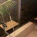 저지차경 이미지