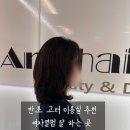김상희 | [반포 미용실 추천] 고속터미널 근처 아드헤어 원베일리점 강남 빌드펌 내돈내산 후기
