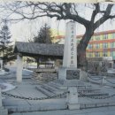 용문교 - 양평군 | 용문교