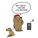 🤵🤍👰 Ⅵ) 드레스 투어-워킹 (라끄벨르, 모리아브라이덜, 아이테오&amp;레이나모라, 보네르웨딩)