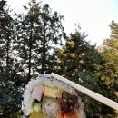 진실한김밥 이미지