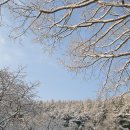 바라밀 - 경주시 기림로 101-5 | 바라밀