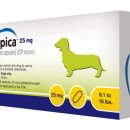 경산동물병원 이미지