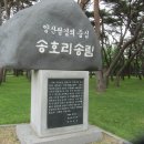 충북 영동(永同) 일원 문화유적 탐방 안내 이미지