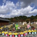 영암디자인 | 영암목재누리페스티벌 솔직리뷰, 아이는 즐거웠지만 운영은 실망스럽고 아쉬웠던 영암 축제 솔직 후기