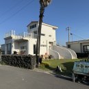 제주마중 판포 이미지