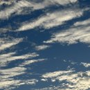 조아 족구장 이미지