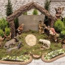 (주)대림통신 | [공지] † 대림 제 2 주일 (인권 주일, 사회 교리 주간)