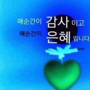 인성바이오 이미지