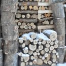 새이모퉁이 이미지