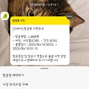 가족사랑약국 | 6월 베트남 나트랑 3박5일 여자끼리 태교여행 마지막 약국 쇼핑 및 반미판 후기