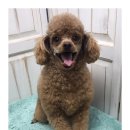 몽글 몽글 이미지