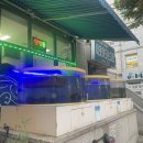[천안신부동]소주향기는바람에날리고 - 전어, 대하