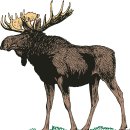 good chance | 캐나다 첫번째 홀리데이, 맛보기 밴프 여행! [2] / 캐나다 워홀