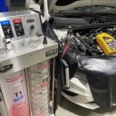 애니카랜드 서구점 이미지