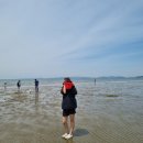 아띠랑스비치 | [태안펜션/아띠랑스비치펜션]해루질체험,가족,커플펜션