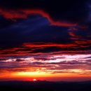 팔송정식당 이미지