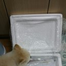 야미츄 | [20160319] 드디어 쓰는 야미츄 구입후기
