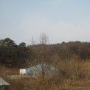 여주-1012 네이버블로그