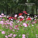 명인미용실 이미지