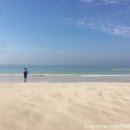 세화안경원 이미지