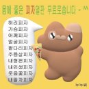 빵띠아 | 대전서구탄방동맛집 차고 피자 화덕피자 생일파티 장소 추천 솔직후기