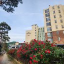 역이민분들이 제일 많이 찾는 고창 실버타운 이미지